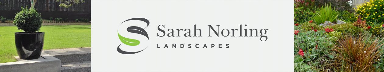 Sarah Norling Landscapes